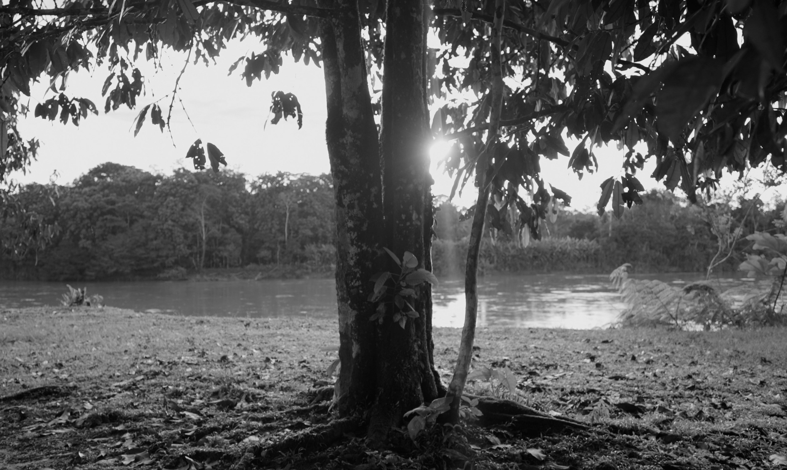 Random Explorations with Cinema 4D and Redshift